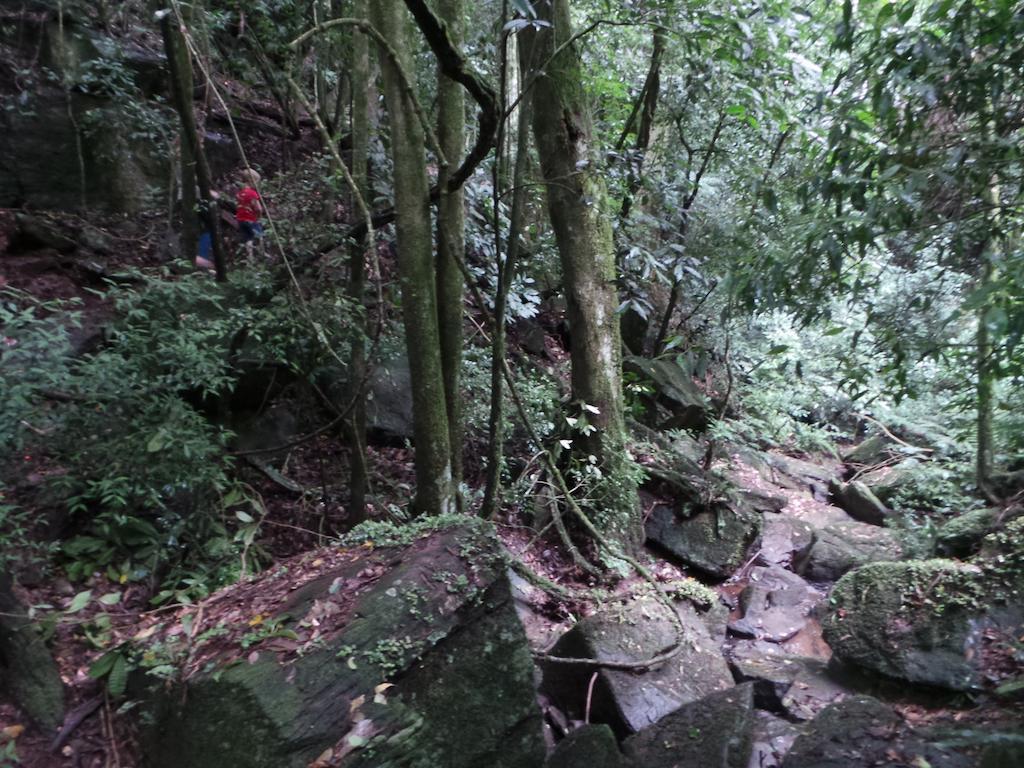 Recanto Dos Pioneiros Nova Petropolis Ngoại thất bức ảnh