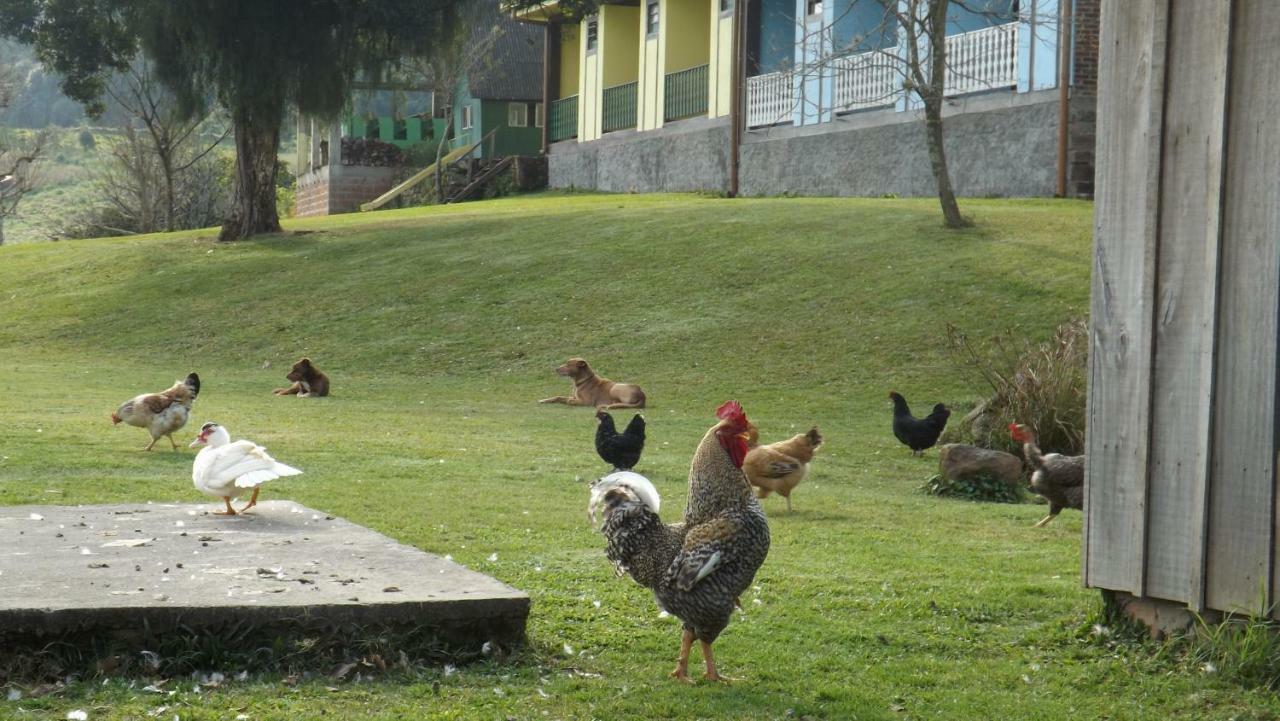Recanto Dos Pioneiros Nova Petropolis Ngoại thất bức ảnh